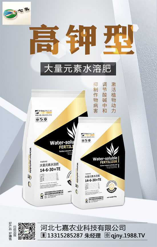 山藥價格多少錢一斤?2020年山藥種植前景分析!