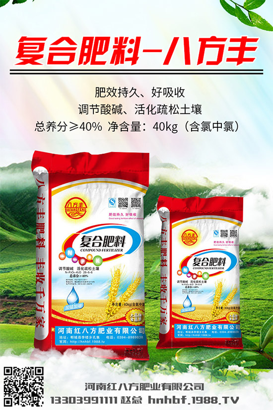 吃蘑菇有什么好處?蘑菇的營(yíng)養(yǎng)價(jià)值及功效作用