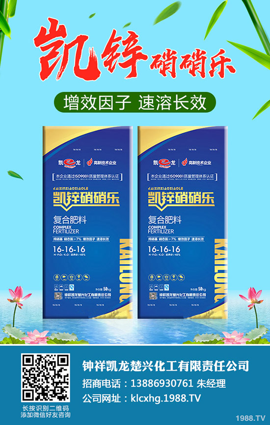 草莓肥害是什么原因，如何避免草莓肥害的發生？