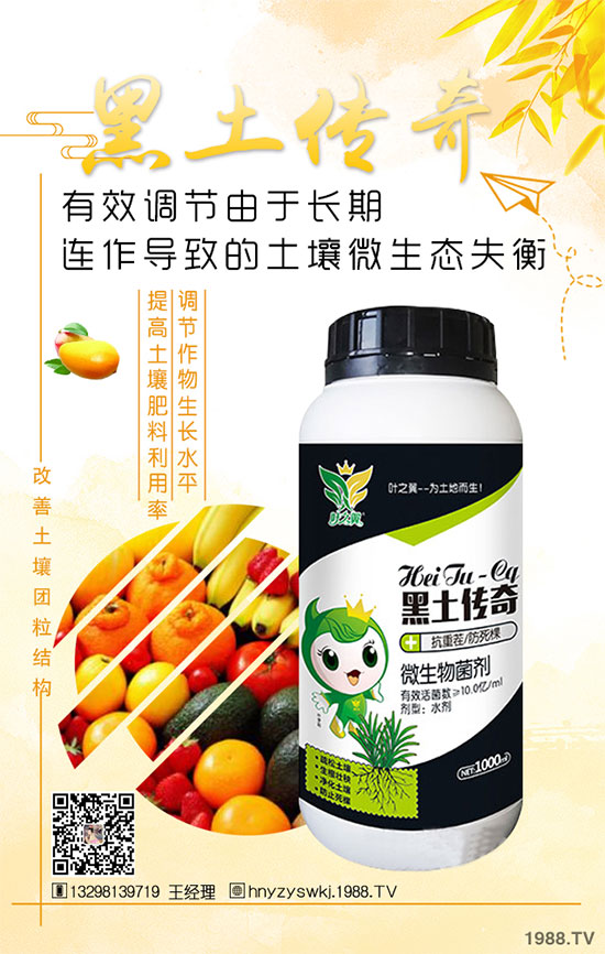 花椒樹什么季節種植?花椒樹的種植注意事項!