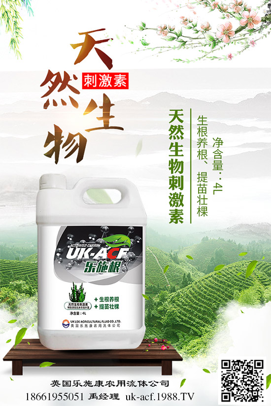 冬季該如何栽培馬鈴薯?七步輕松獲得高產