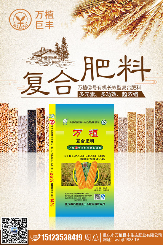 洋薊該如何種植?洋薊高產種植技術方案