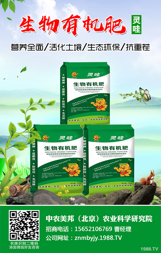你知道什么是洋薊嗎?洋薊大概多少錢一斤?快來看看