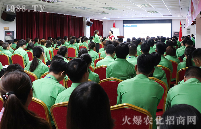 禮儀在工作,規范您和我