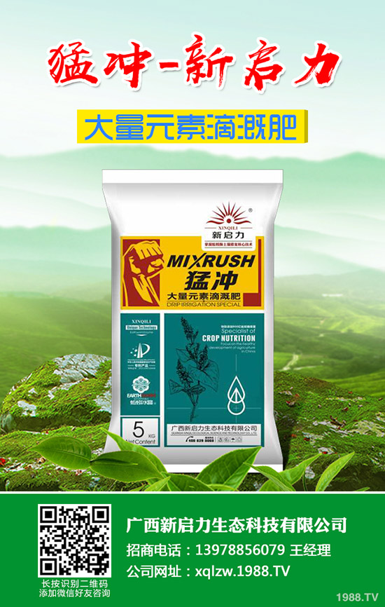 秋蘿卜霜霉病是如何引起的?該如何預防?秋蘿卜霜霉病的發生原因及預防措施