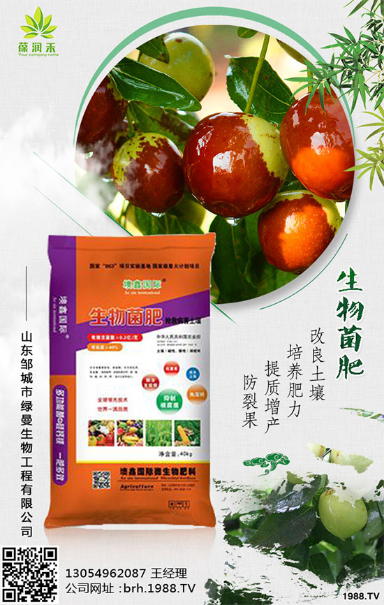 甘蔗是如何種植的,秋植蔗栽培技術要點有哪些?