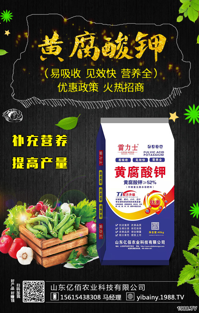 茄子如何施肥既經濟,又結果多?