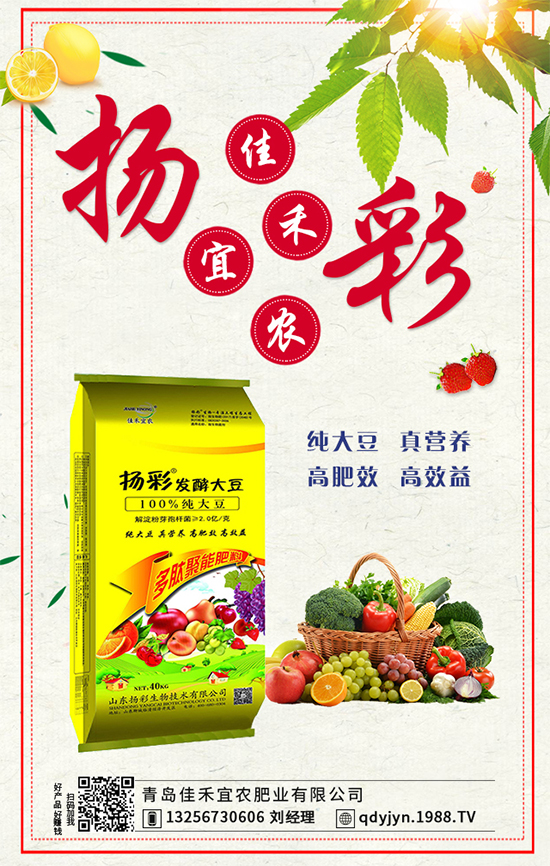 秋茬西紅柿要想產量高,如何澆水沖肥?