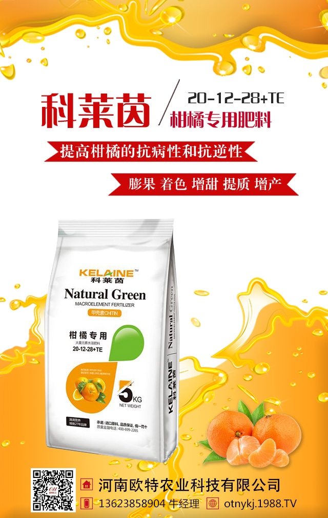 芒果想要高產看這里!芒果高產施肥的技巧