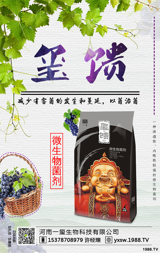 北方怎樣種植藍莓?種植藍莓應該注意什么?