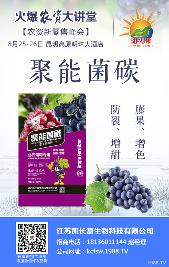 盆栽豌豆該怎么種?盆栽豌豆種植方法及注意事項