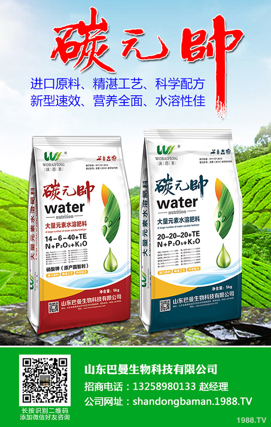 國(guó)際市場(chǎng)磷酸二銨一周走勢(shì)情況分述2019-9-25