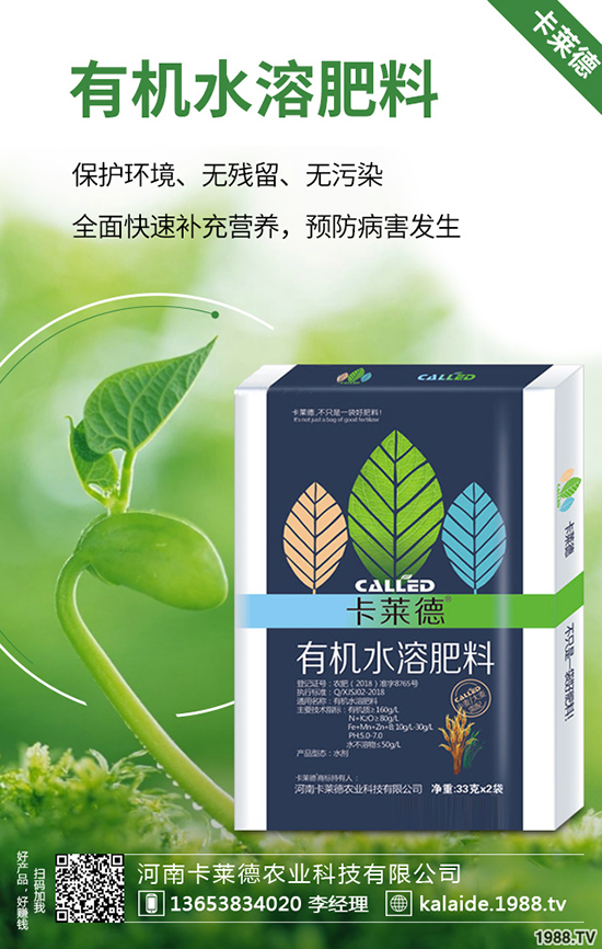 綠蘿長(zhǎng)得太長(zhǎng)怎么辦,綠蘿的修剪方法有哪些?
