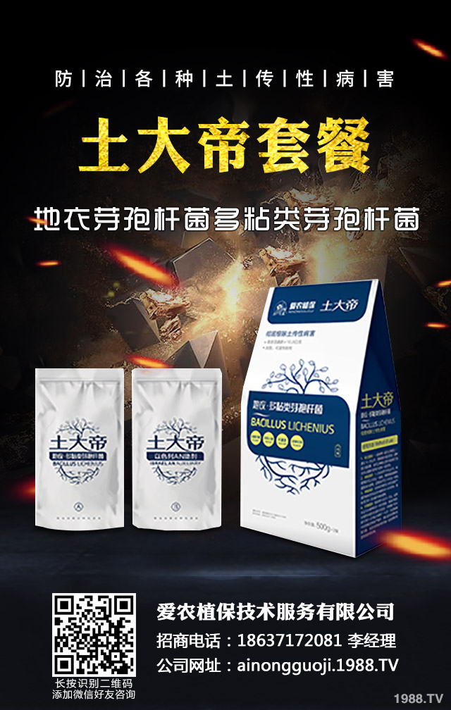秋播小麥怎么提高質量?秋播小麥提高質量六要點