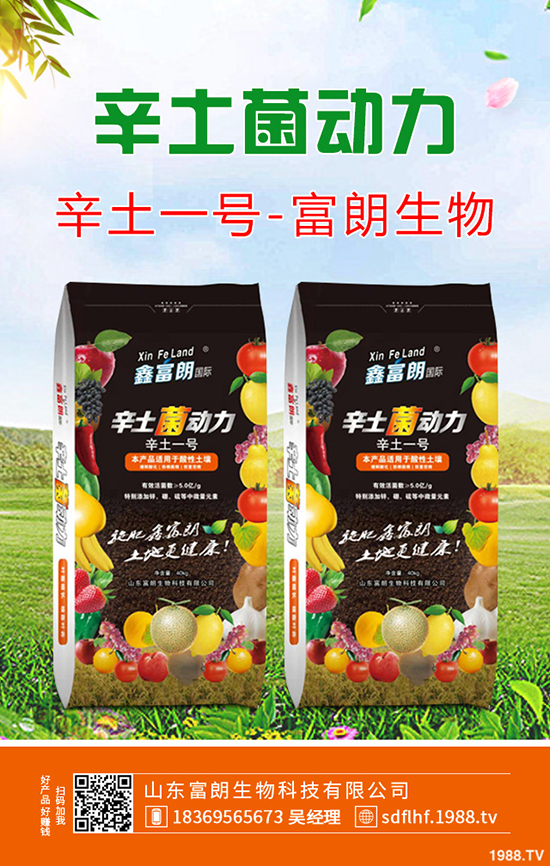 桃樹秋季帶葉修剪好處及什么時間修剪合適?桃樹秋季修剪技術!