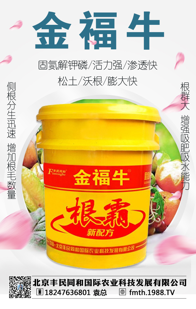 北京豐民同和國際農業科技發展有限公司