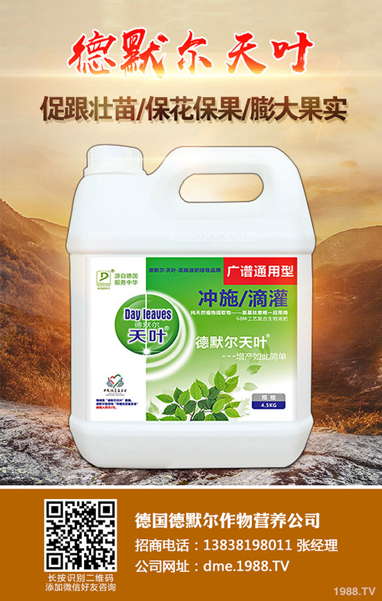 松茸的營養價值有哪些,松茸的功效與作用,食用禁忌!