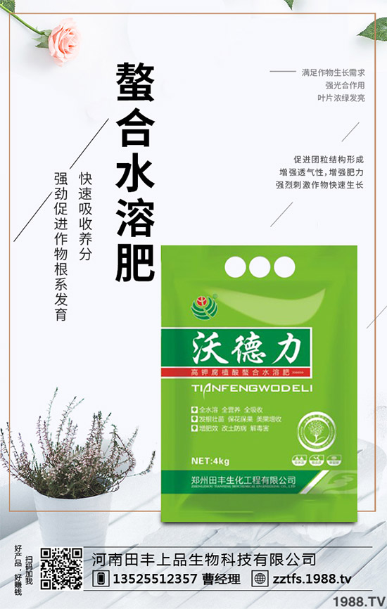 卷心菜有哪些營養價值?吃卷心菜有哪些好處?教你吃出健康!