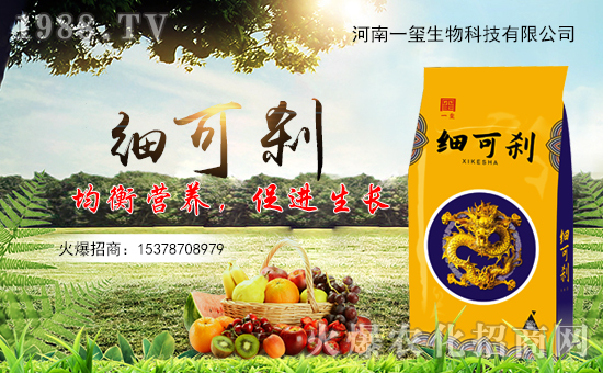 һtףȫт경ӭ{f