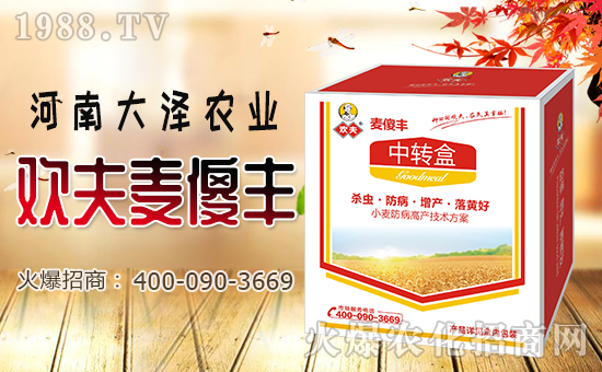 【大澤農業】祝大家在新的一年里生意興隆,財源滾滾!