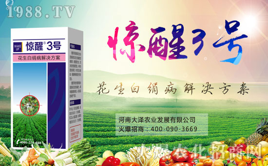 【大澤農業】祝大家在新的一年里生意興隆,財源滾滾!