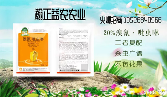 【瀚正益農】祝廣大經銷商2020年事業騰飛!鼠年大吉!新年好!
