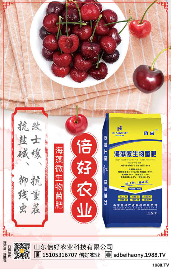尿素行情走勢一般!2020年1月中旬尿素行價格后市預(yù)測!
