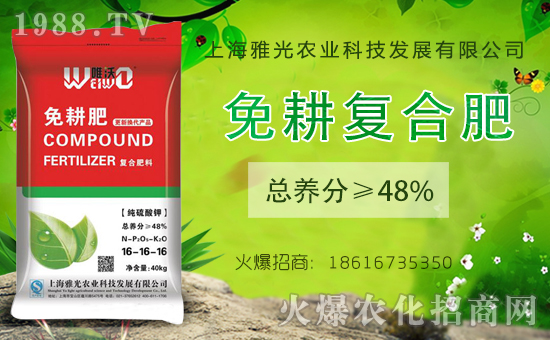 【上海雅光】祝大家新年快樂,財源滾滾,吉祥高照,鴻運當頭!