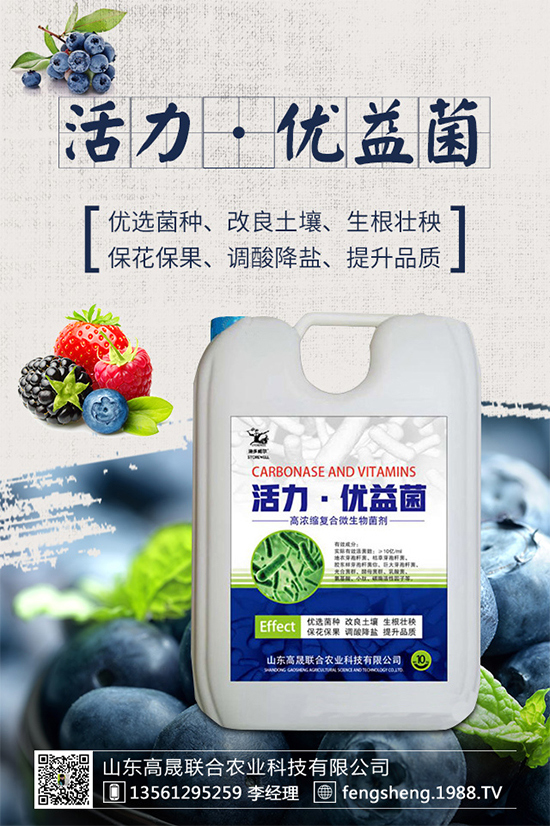 【高晟聯合】恭祝新老朋友新年快樂,鼠年吉祥!2020財源滾滾!