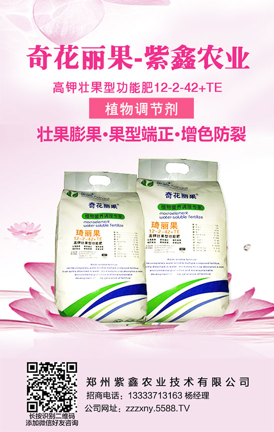 學(xué)會龍眼的施肥管理,龍眼增產(chǎn)不再憂!