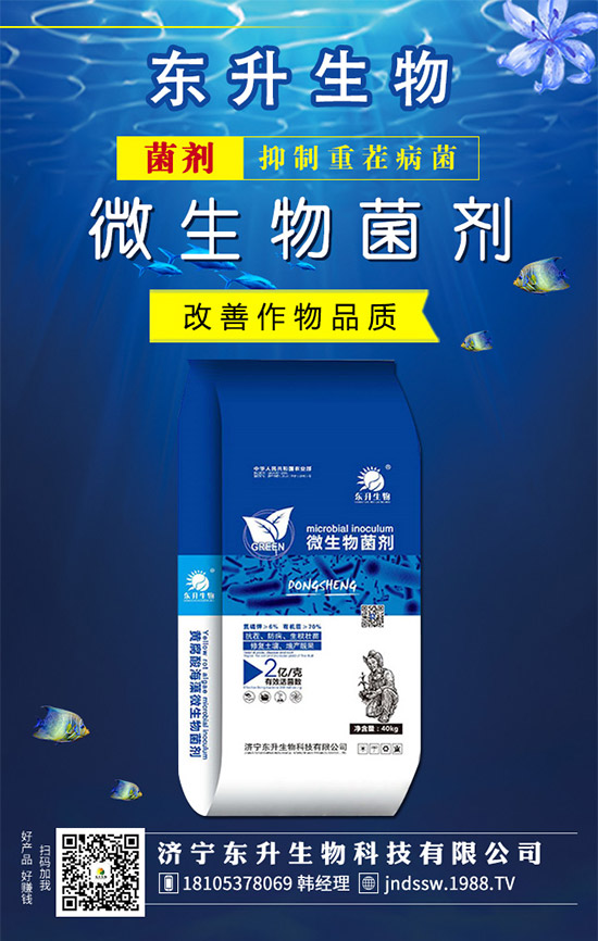 石榴樹什么時候嫁接好?石榴樹嫁接方法有哪些呢?