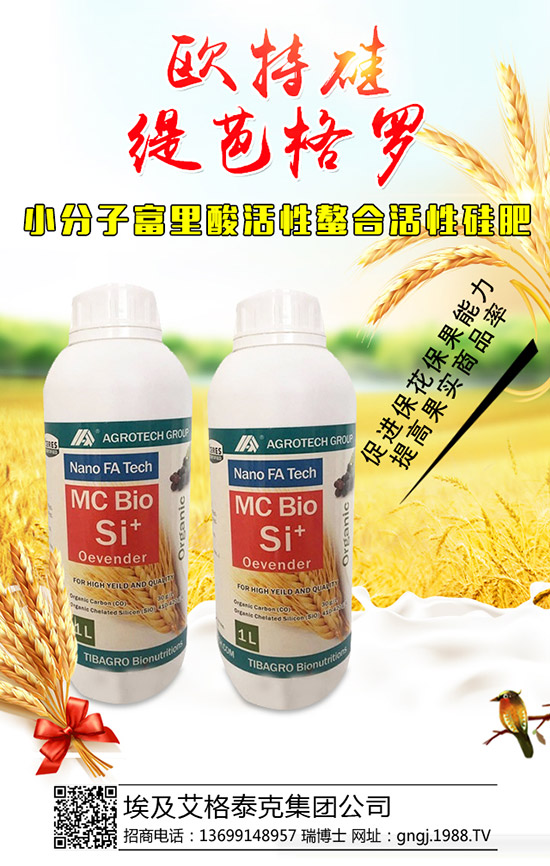 大棚辣椒結果少是怎么回事,怎樣提高辣椒坐果率?