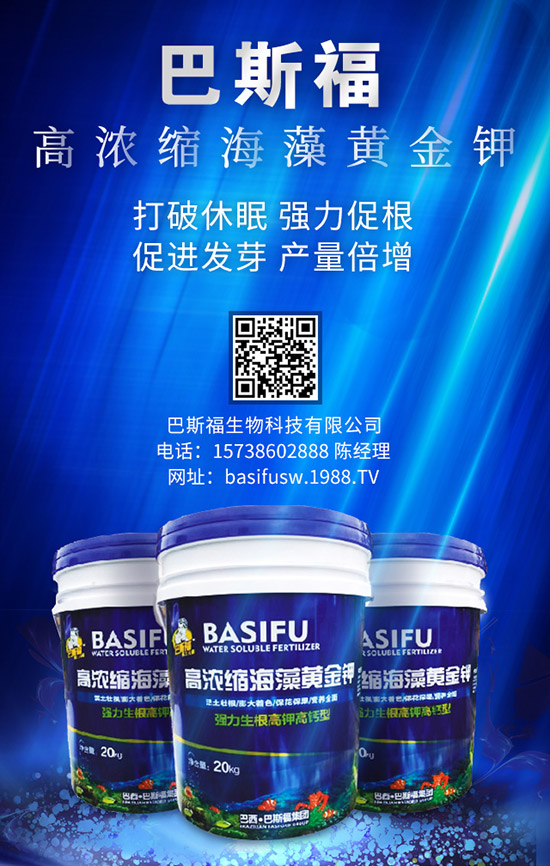 復合肥今年冬儲還有戲嗎?2020-1-18復合肥價格行情日報