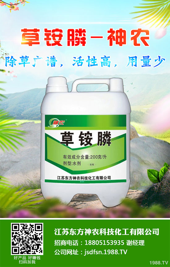 怎么判斷大蔥得了黃矮病?大蔥黃矮病防治措施怎么做?