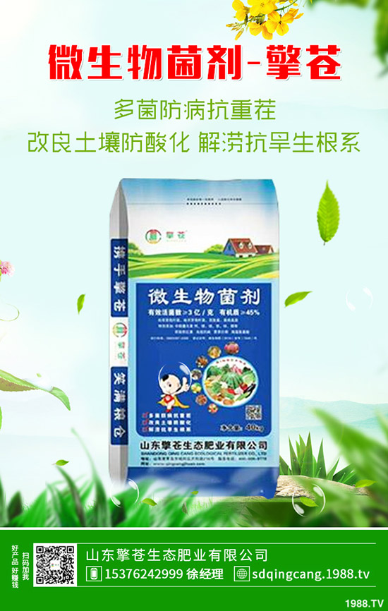 2020年1月1日二銨冬儲需求一般!價格穩中偏弱運行!