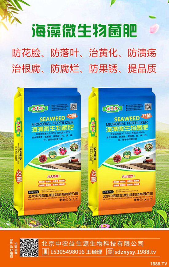 2020春季種植馬鈴薯技術要點!如何催芽?注意事項有哪些?