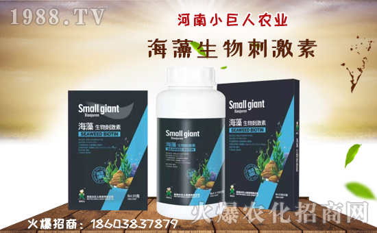 【河南小巨人農業(yè)】祝大家在新的一年里工作順利,步步高升!