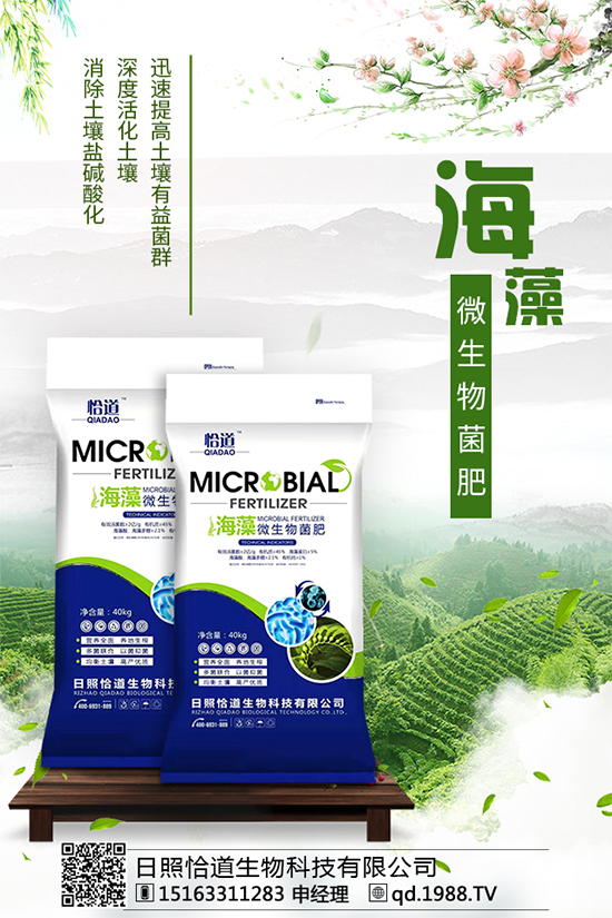 松茸有哪些營養價值?吃松茸有什么好處?