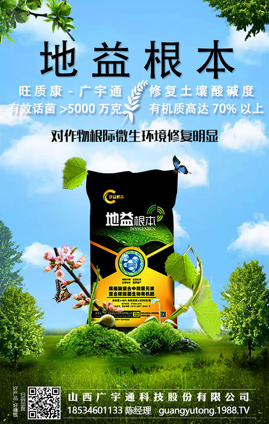 花椰菜想要拔高產量,需要花椰菜科學施肥管理
