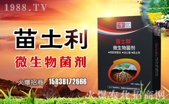 【英爾果農業】祝大家在新的一年里生意興隆,萬事如意!