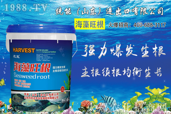 小麥種植時間如何確定?2020年小麥種植注意哪些問題?