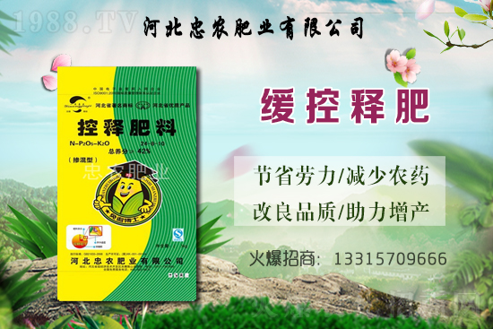 大蒜的產地在哪?種一畝地大蒜要用多少蒜種?畝產量是多少斤?