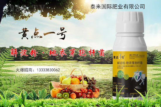 黃瓜葉片起“小黃點”是什么病?防治方案有哪些?