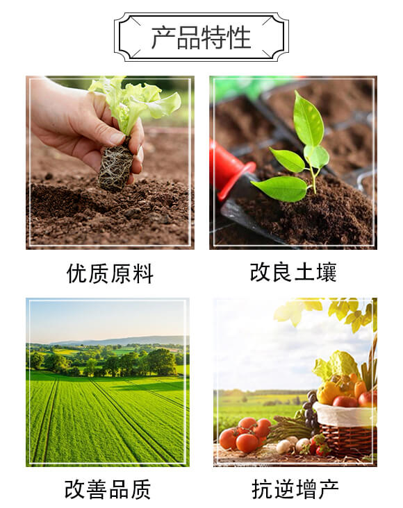 玉米專用型防滲漏長效功能肥-大化肥業_03