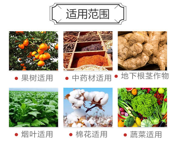 純硫基防滲漏長效功能-大化肥業_04