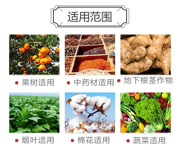 玉米專用型防滲漏長效功能肥-大化肥業_04