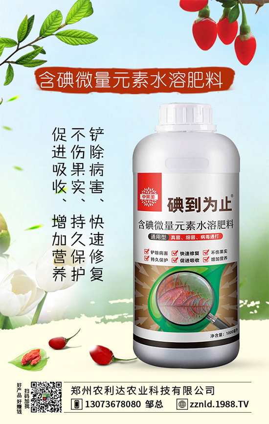 春季茄子如何施肥?需要注意哪些?