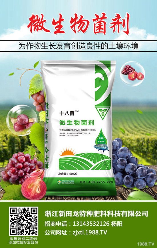 南瓜需肥規律,南瓜的施肥方法