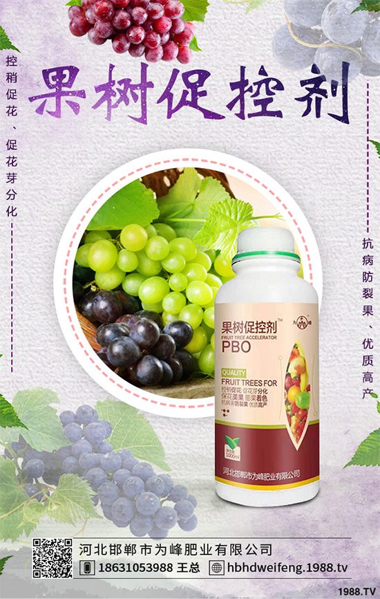 紅薯育苗技術