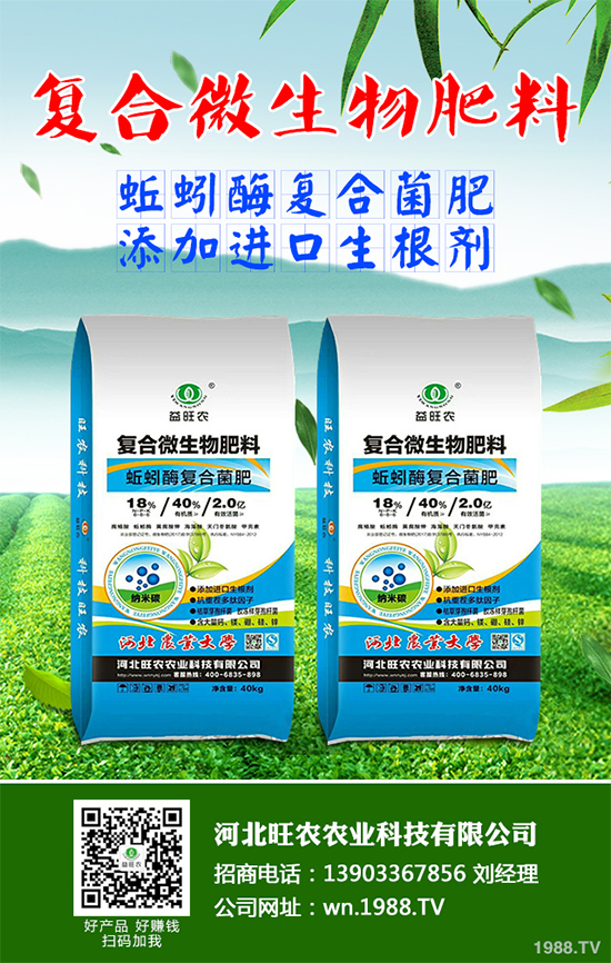 洋桔梗該如何種植?洋桔梗栽培種植技術